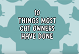 10 Things Most Cat Owners Have Done.png